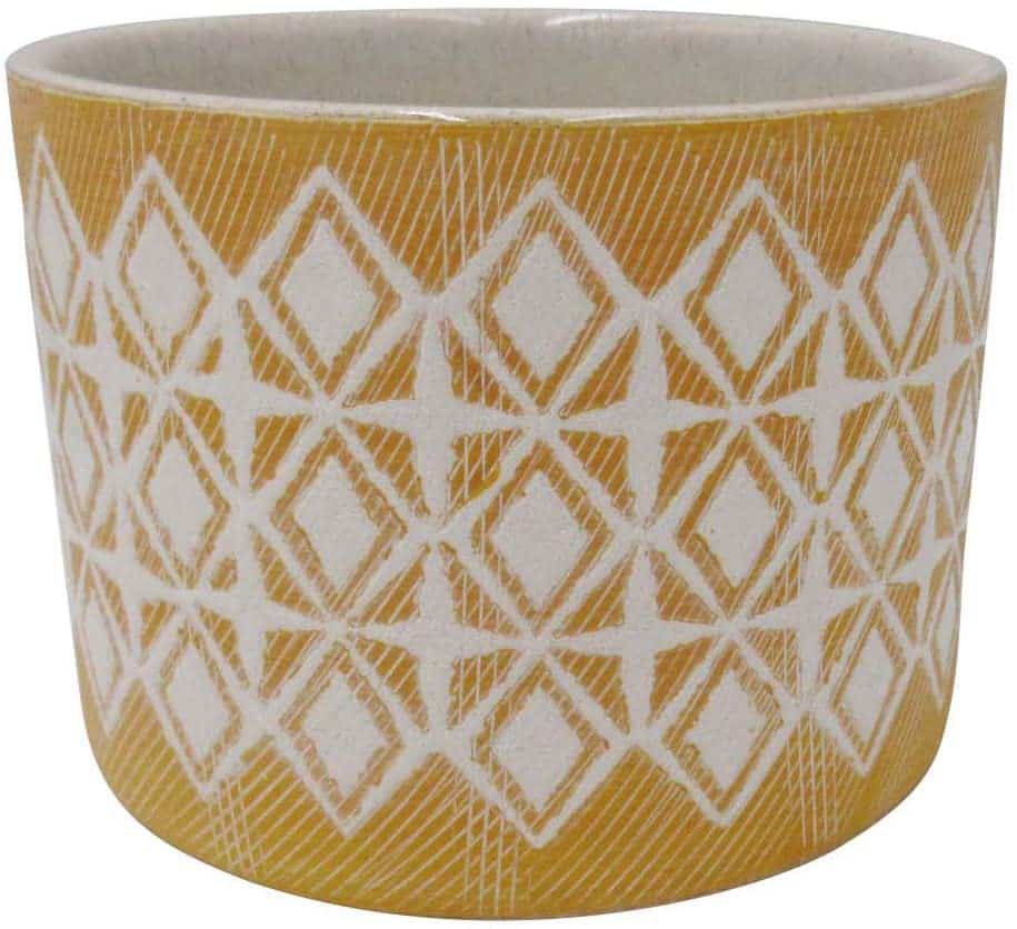 a vase