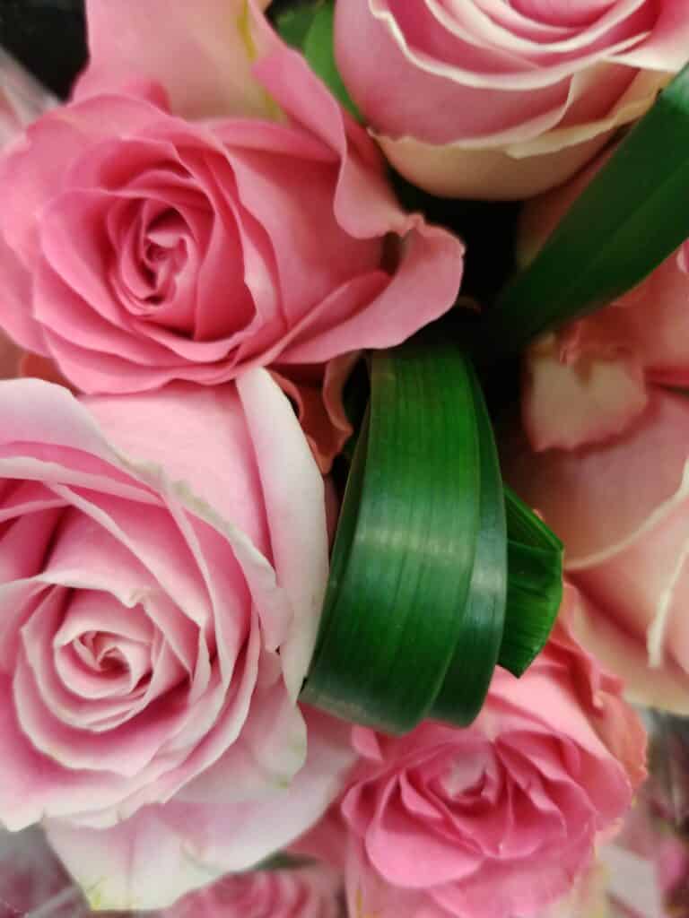 Mother’s Day Gift Guide – She is Going to Love These