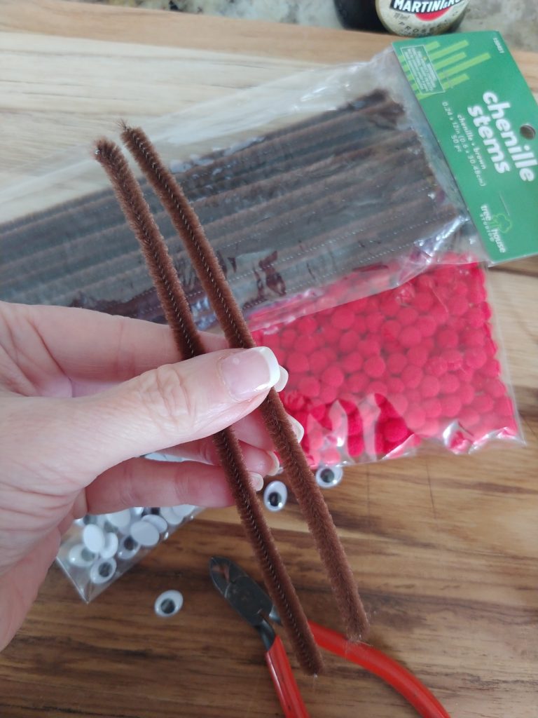 pipe cleaners and craft supplies