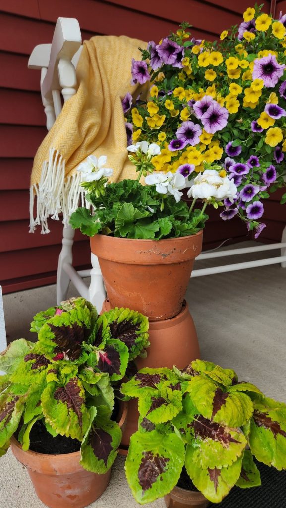 Greenery with flowers and yellow flowers