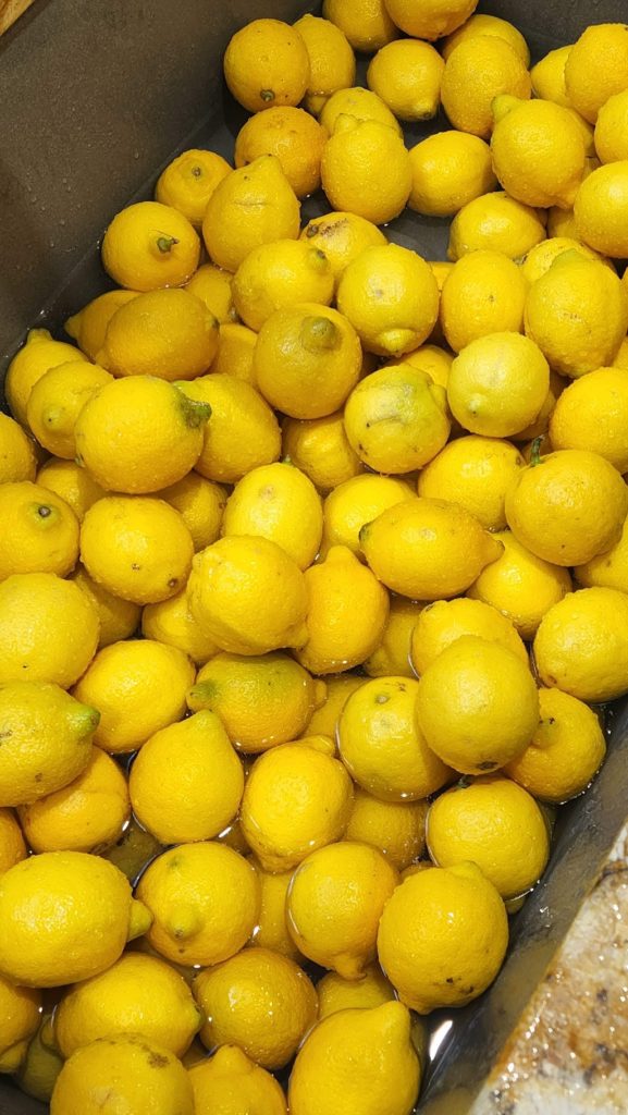 Lemons in sink