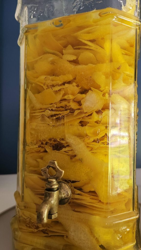 Lemon peels soaking in vodka in glass vat