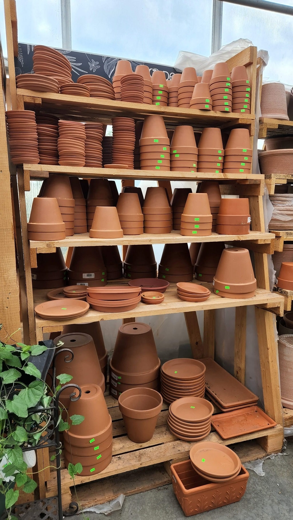 Simple Kitchen Garden Using Terra Cotta Pots