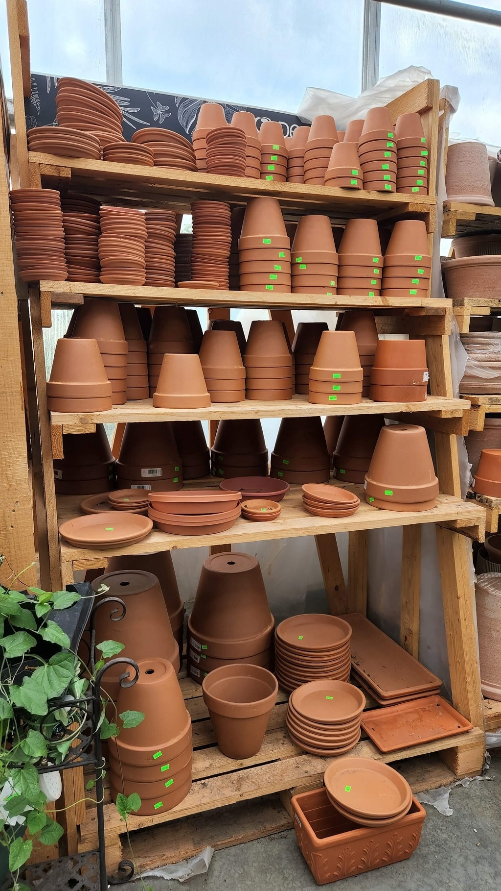 Terra cotta pots on shelf