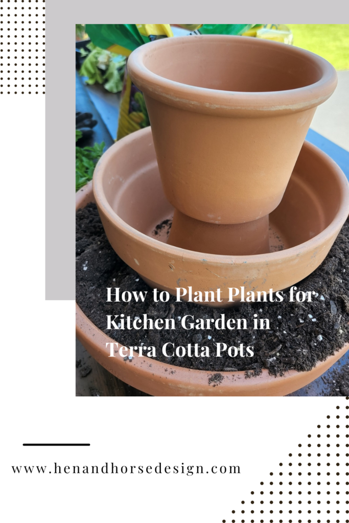 pinterest pin for how to plant plants in kitchen garden terra cotta pots