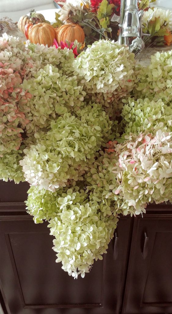 bunch of hyrdrangea in sink