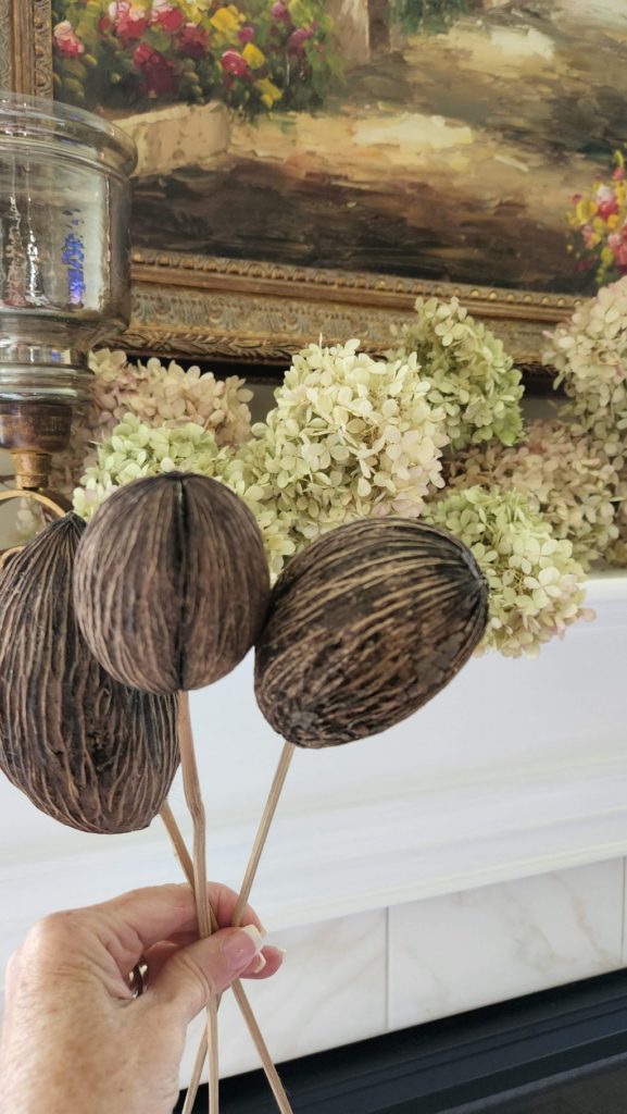 brown decorative coconuts on a stic