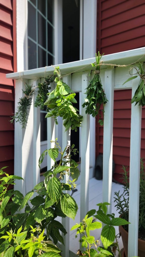 Herbs hanging on porch railiing