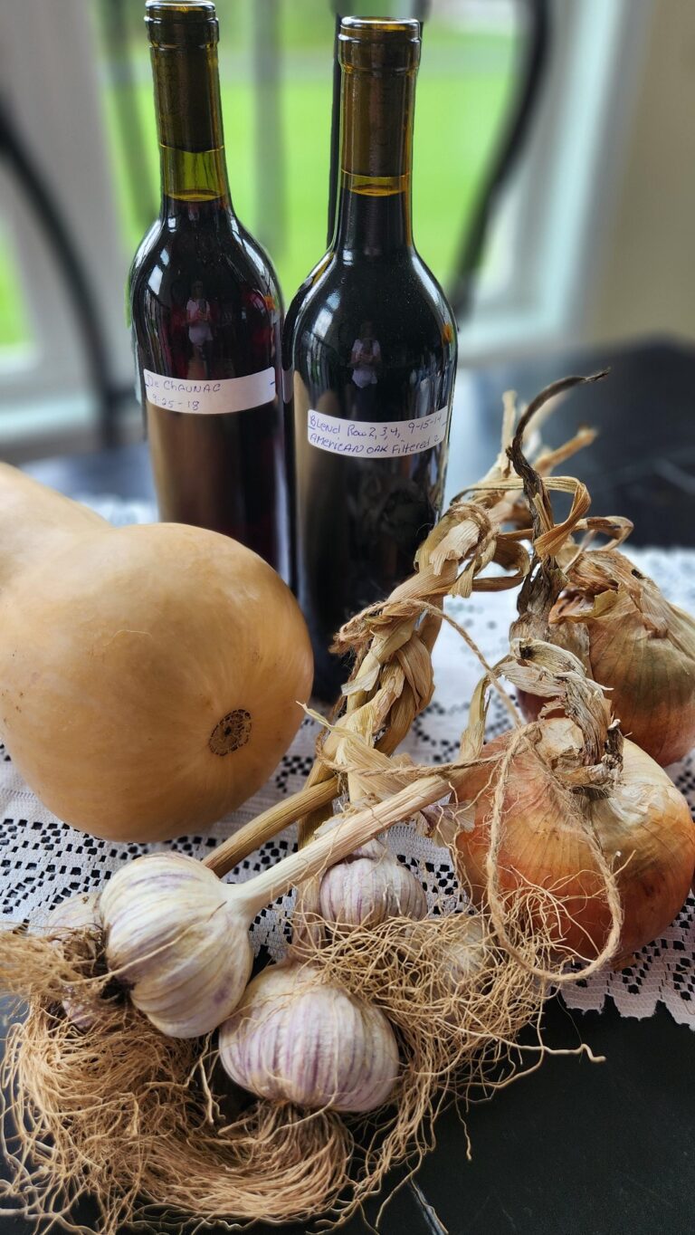 Bottles of wine with a butternut squash and garlic on table