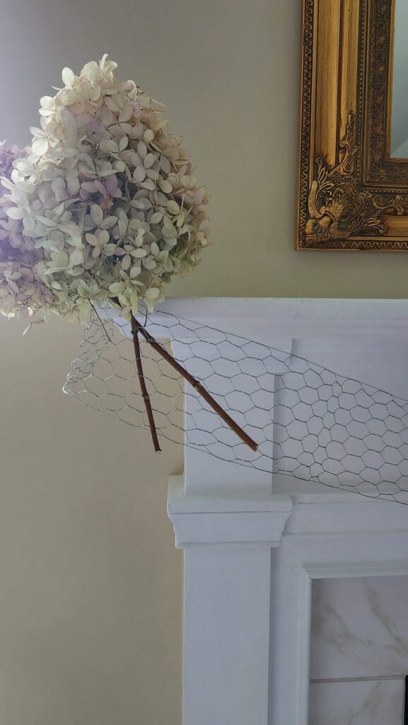 chicken wire attached to mantel with 2 dried hydrangeas getting attached