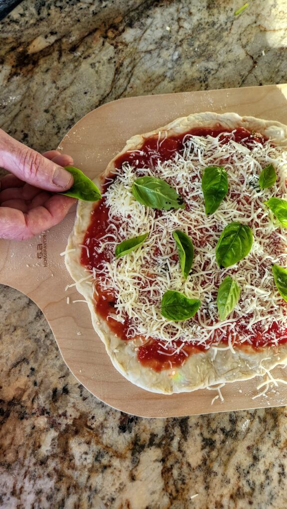 rolled out pizza dough with sauce and basil on top