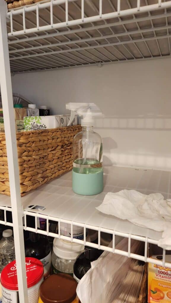 Easy Small Kitchen Pantry Organization - Hen and Horse Design