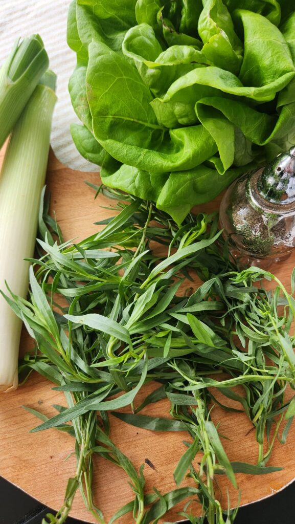 Fresh Tarragon and leeks on cutting board