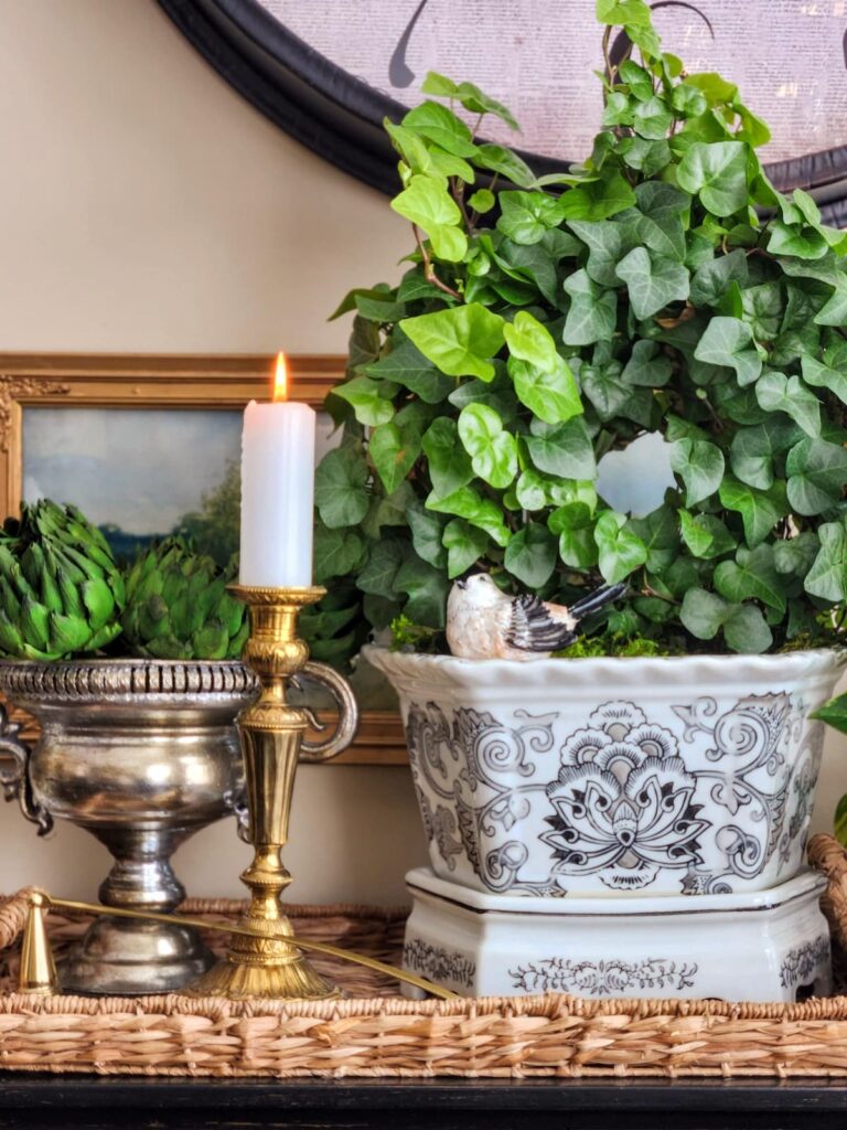 english ivy on side board in a black and white chinoiserie vessel