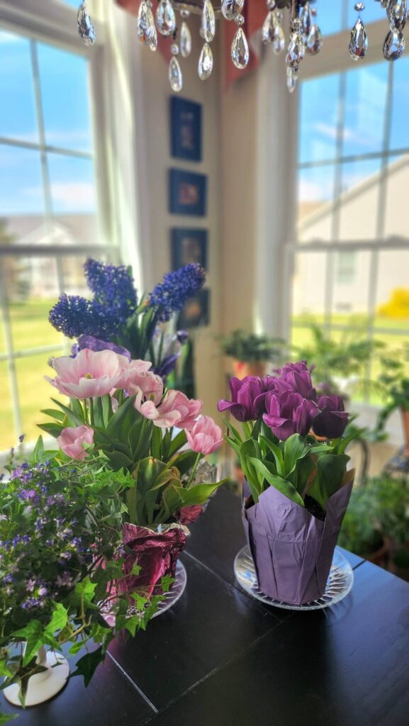 pink and purple tulips on table with window in background