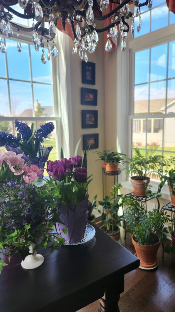 tulips and hyacinth plants on table with potted plants behind near a window