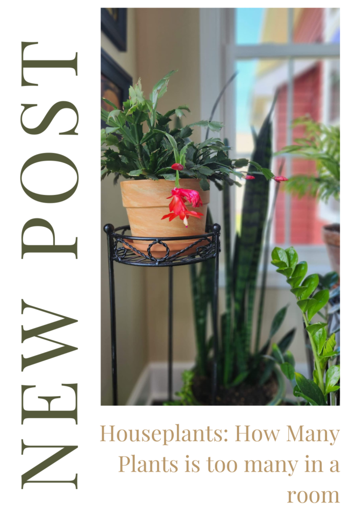 New Post Pinterest Pin how many plants are too many in a room