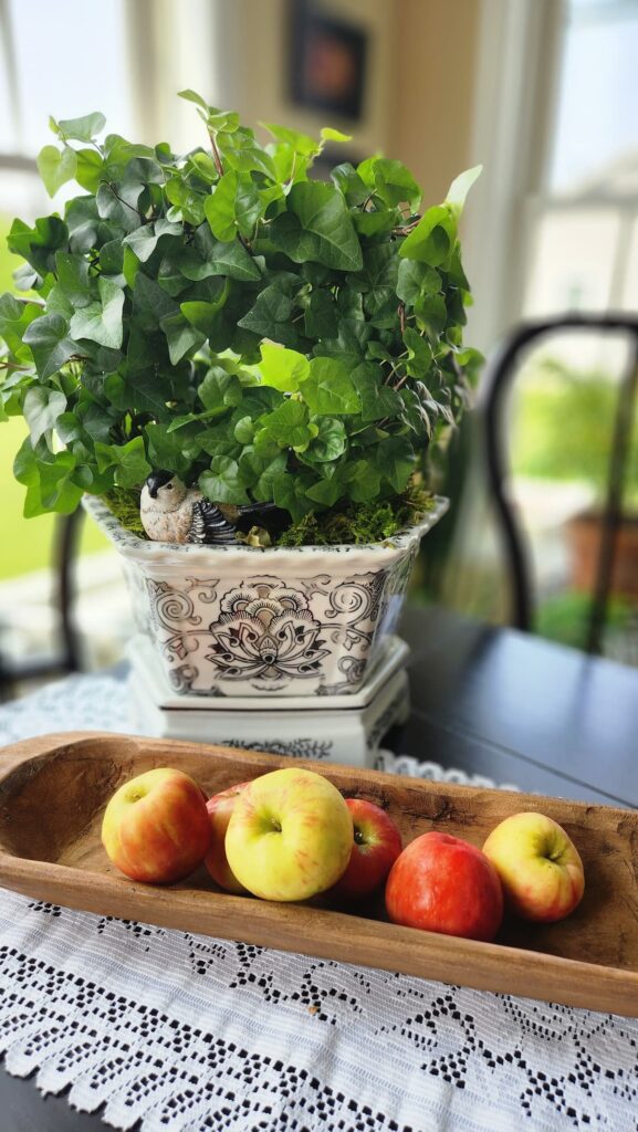 dough bowl filled with apples and a green ivy plant on dining room table