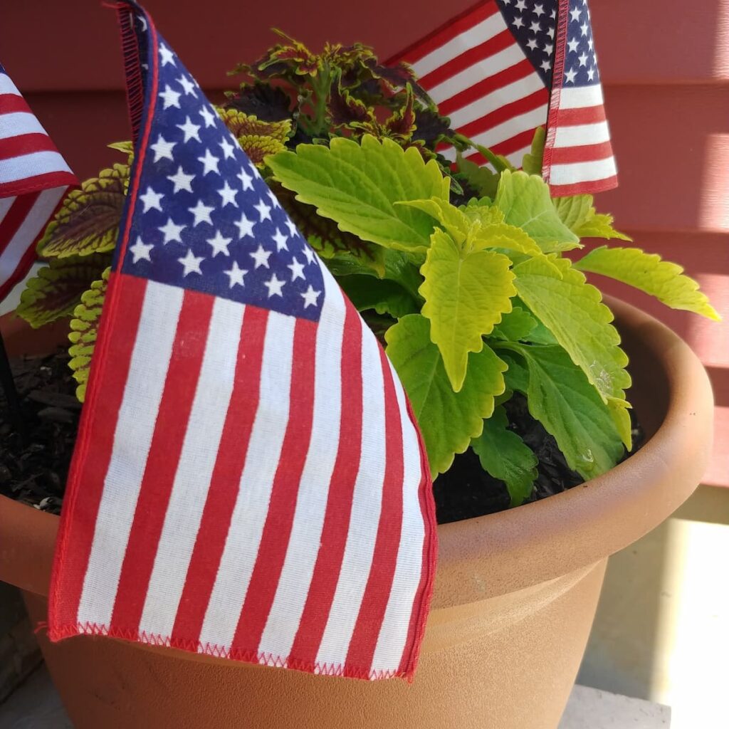 clay pot with three american flags in pot for decoration