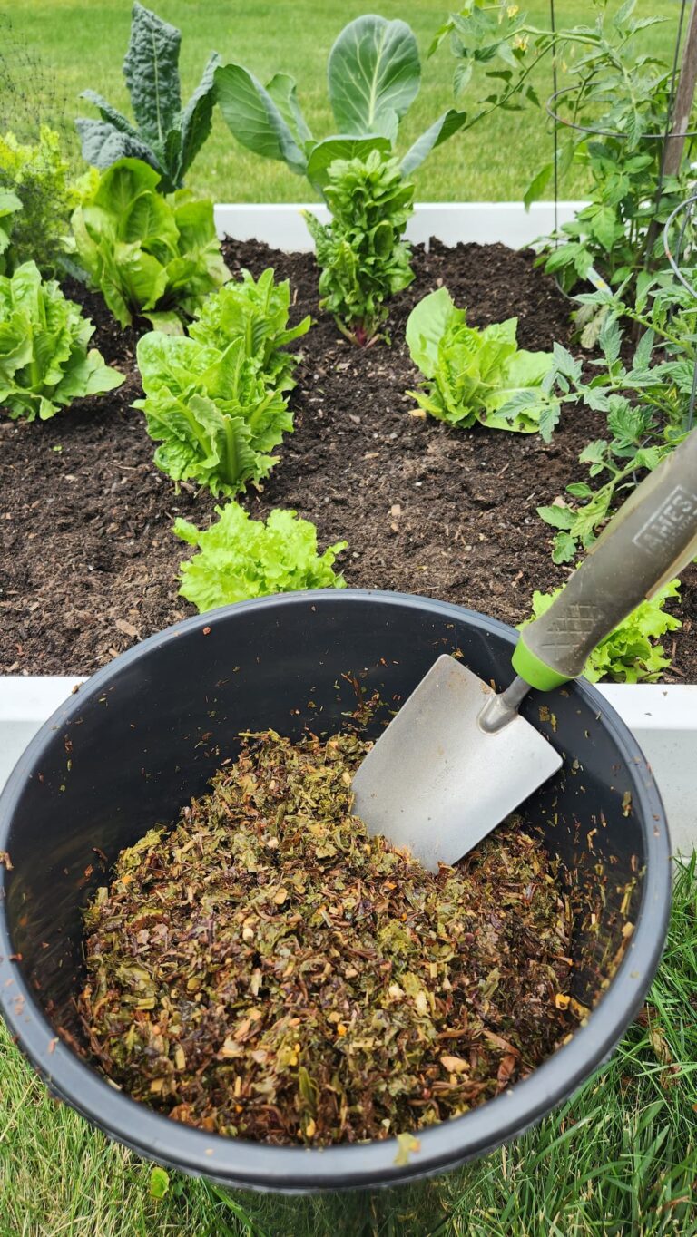 hand garden shovel in bucket of tea leaves near raised garden bed