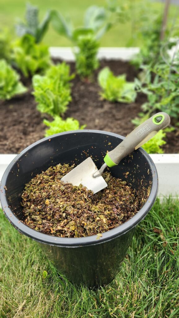 black large bucket filled with tea leaves near garden bed