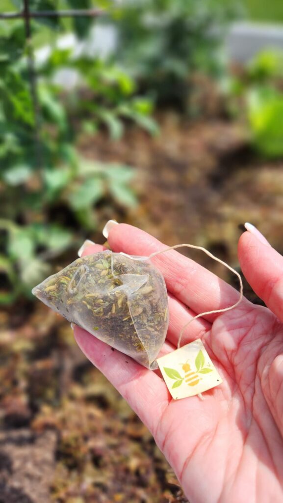 silk tea bag in ladies hand over a garden bed