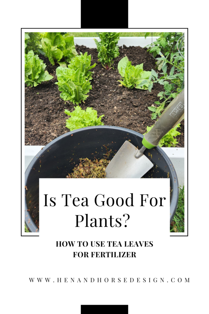 pinterest pin is tea good for your plants