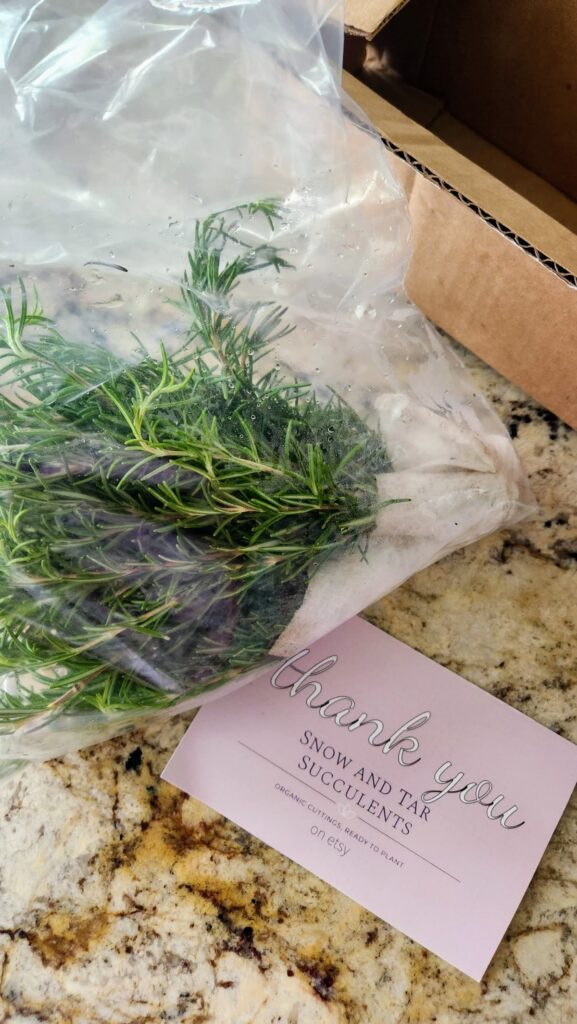unboxing fresh rosemary bunches that are wrapped in plastic