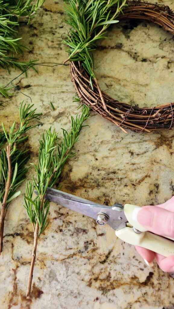 wire cutters clipping rosemary stems for rosemary wreath