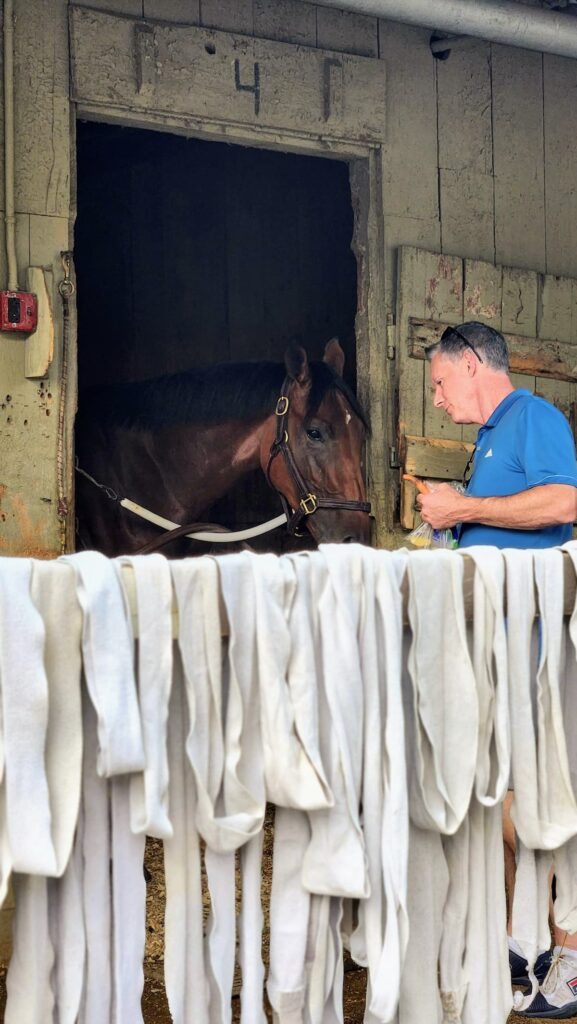 Andrew feeding horse at the barn with white cloth hanging from the railing