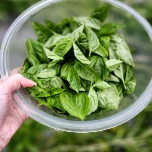 collander of fresh basil