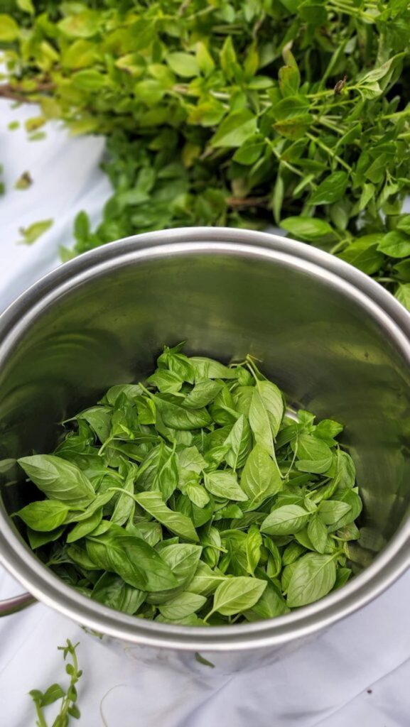stainless steel pot with basil leaves in it
