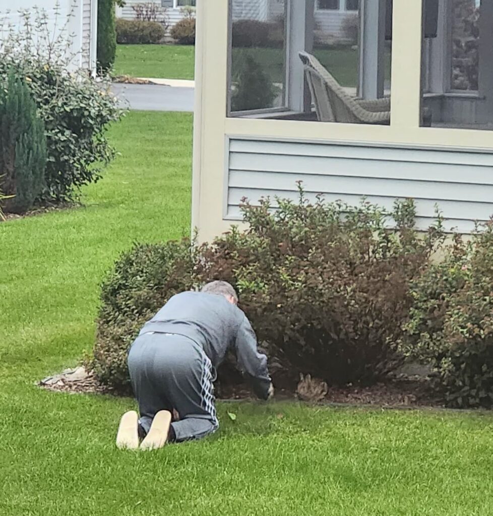 Andrew feeding a wild bunny outside by hand