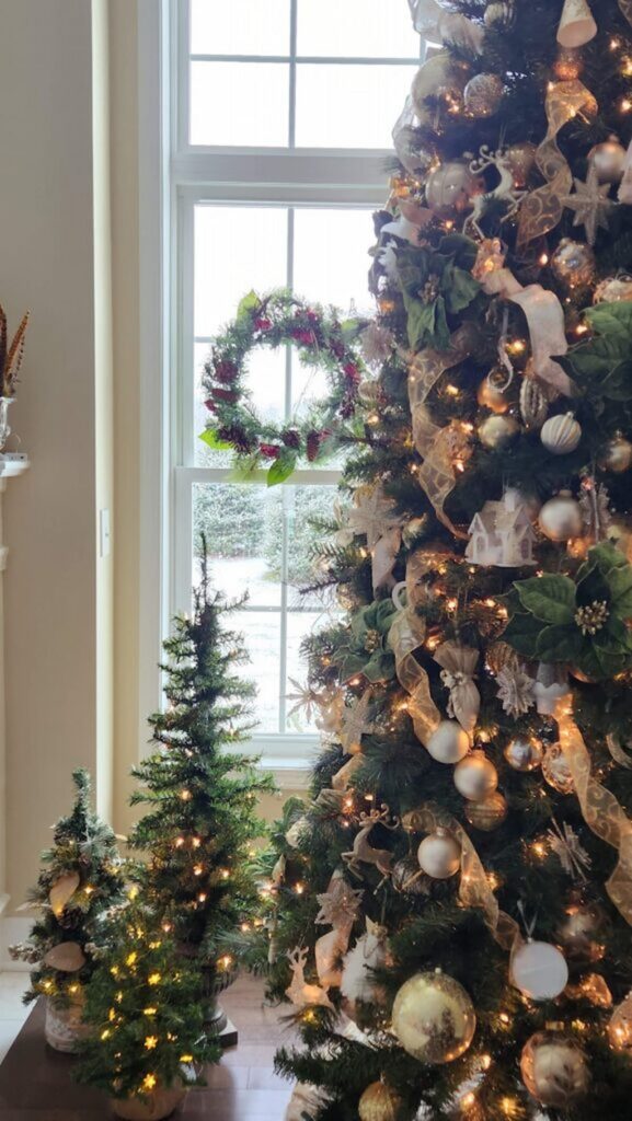 view of christmas tree with two small trees lit up next to it