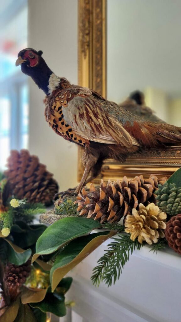 stuffed pheasant on top of the mantle with greenery and pinecones around the base.