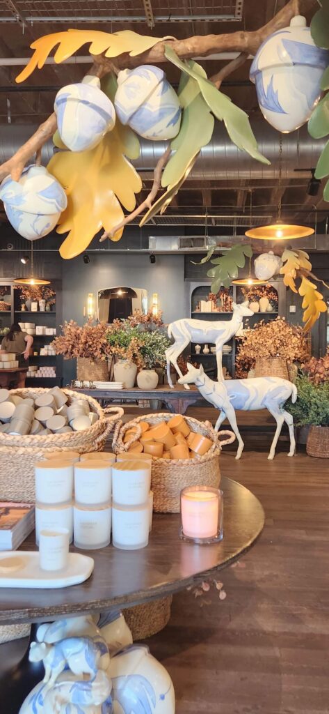 magnolia market with tree branches and faux acorns over table