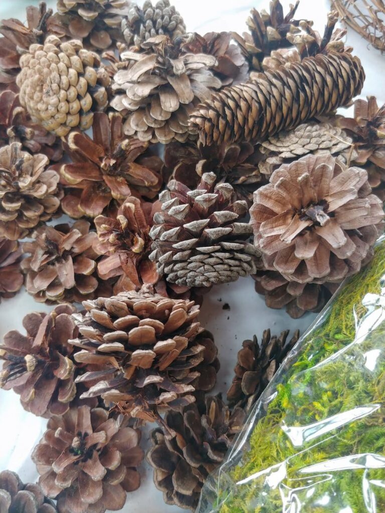 pile of pinecones to put on grapevine wreath