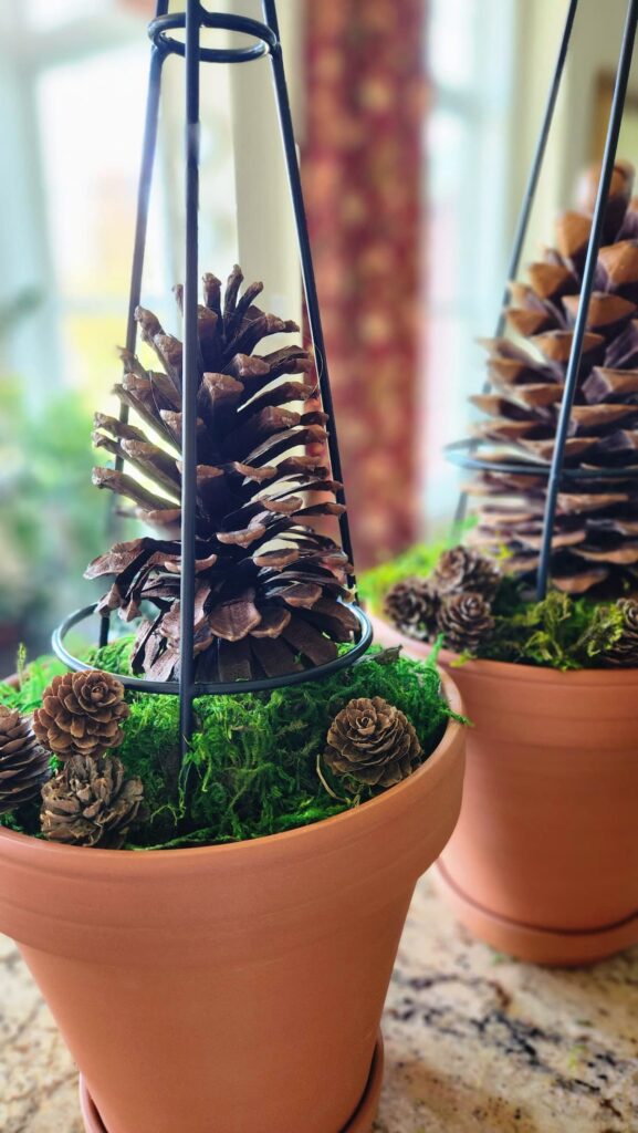 large pinecone in middle of wire topiary form with small pinecones on the bottom 