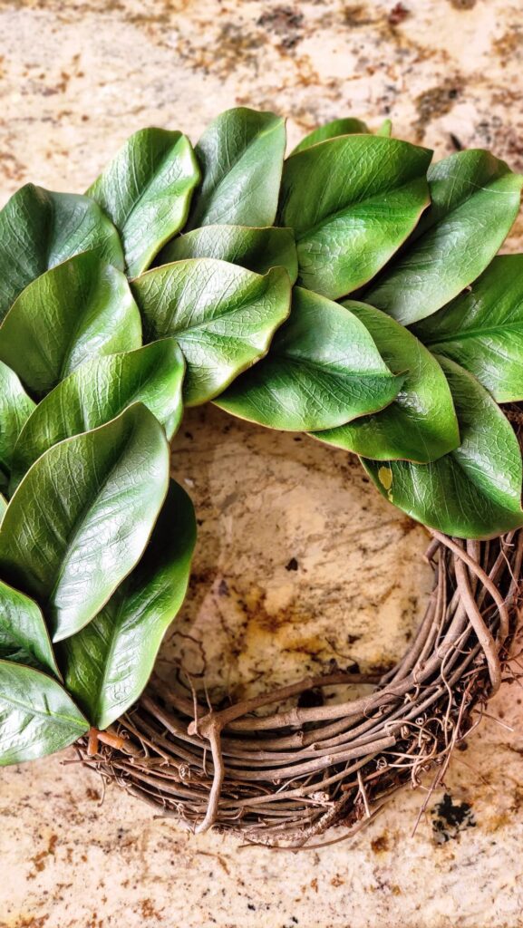 magnolia leaves glued around the grapevine wreath