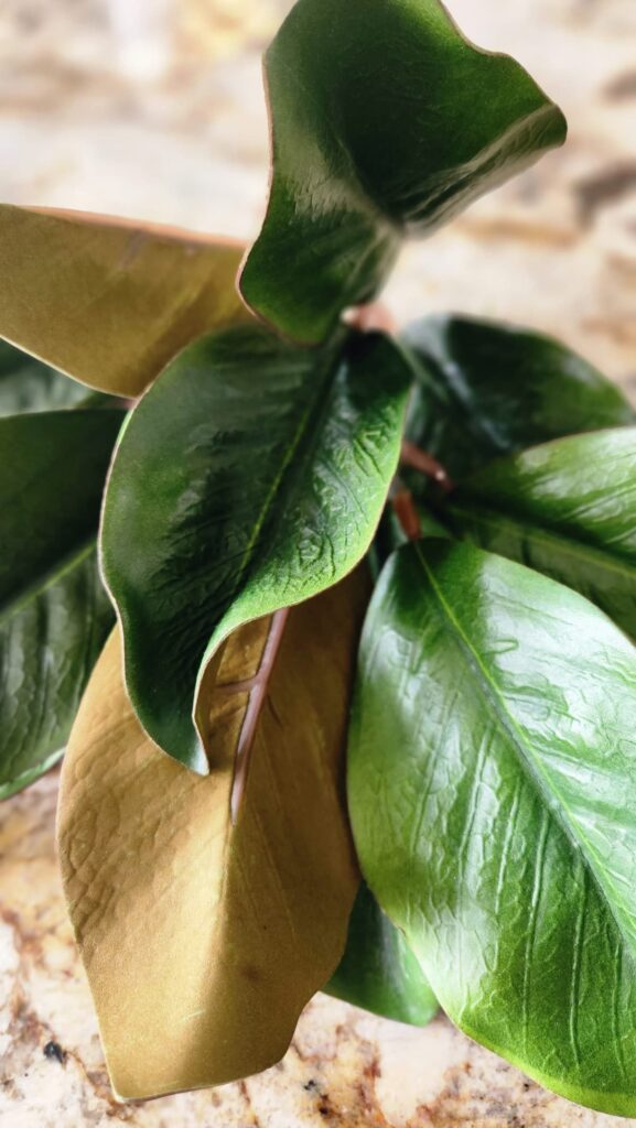 faux mangolia leaves in a bunch