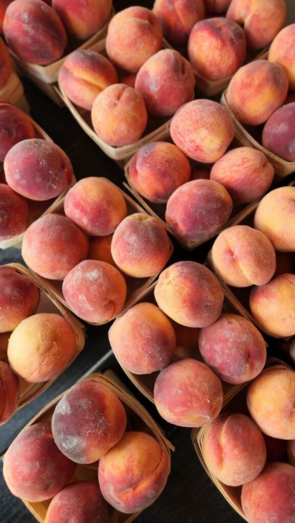 peaches on table in small produce baskets