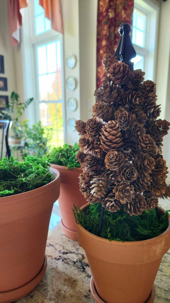 pine cones being added to wire topiary form 