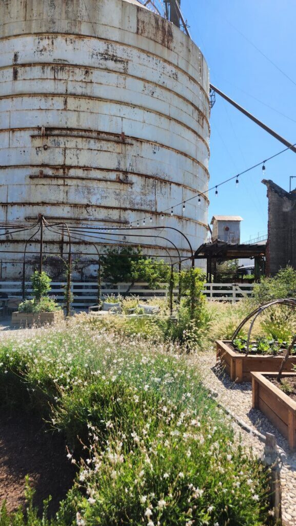 photo of the silo's in waco texax at Magnolia