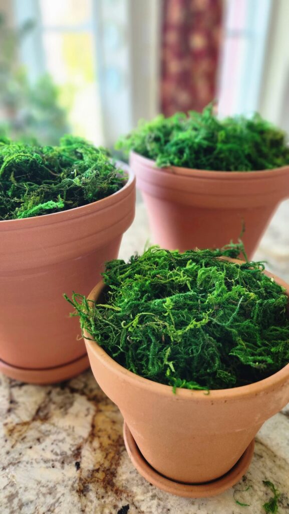 terra cotta clay pots filled with green moss to cover the brown paper inside