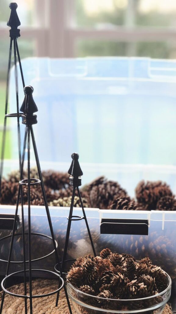 three topiary tree forms with pinecones in bowl on the side