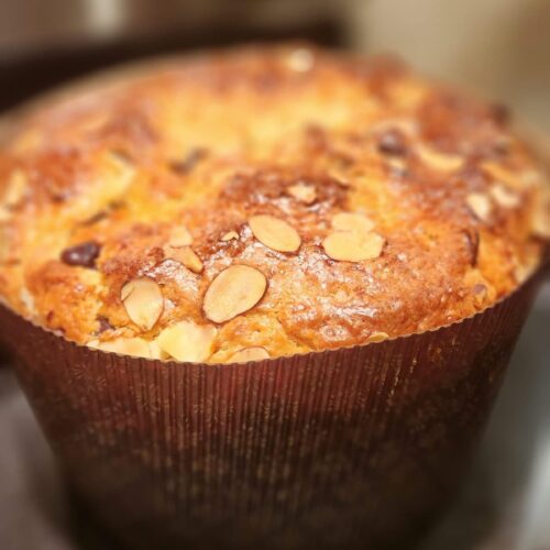 chocolate chip panettone on stove top