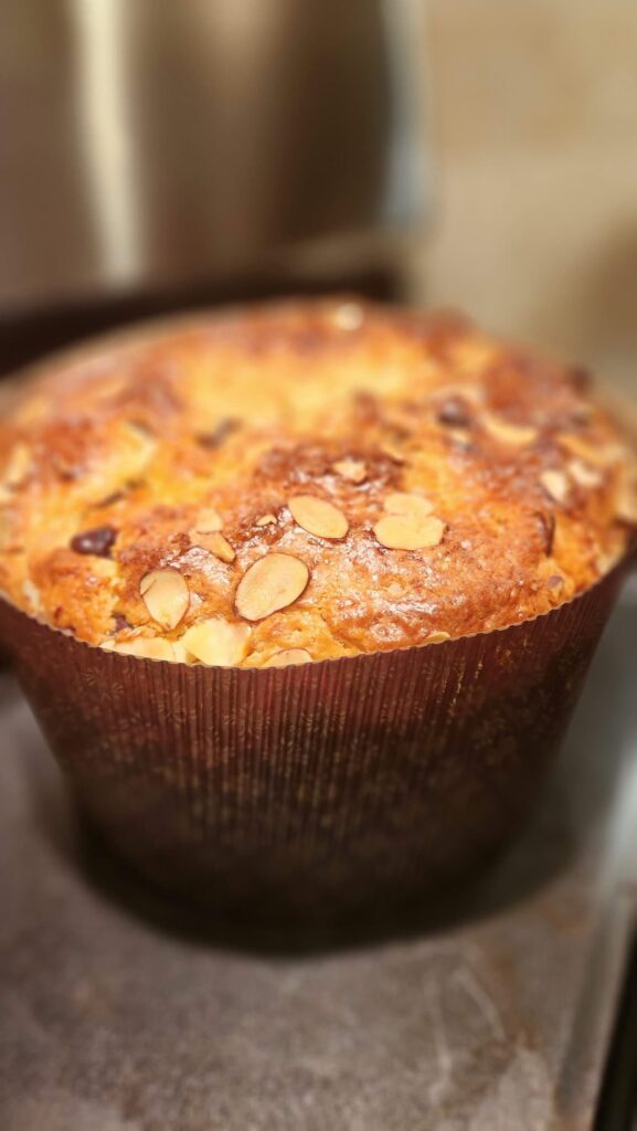 chocolate chip panettone on top of stove