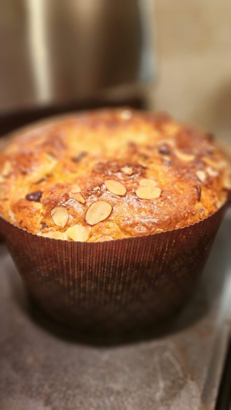 chocolate chip panettone on stove top