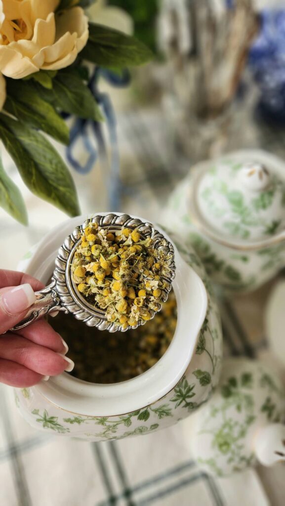 Does Herbal Tea Expire? How Long Is the Shelf Life