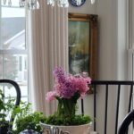 Tips for Fertilizing Indoor Plants in Winter